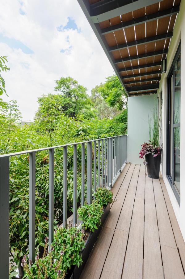 Choapan 28 - Lux Apartments In Condesa Мехико Экстерьер фото